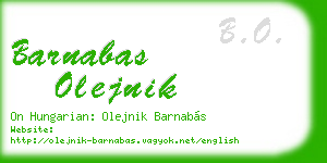 barnabas olejnik business card